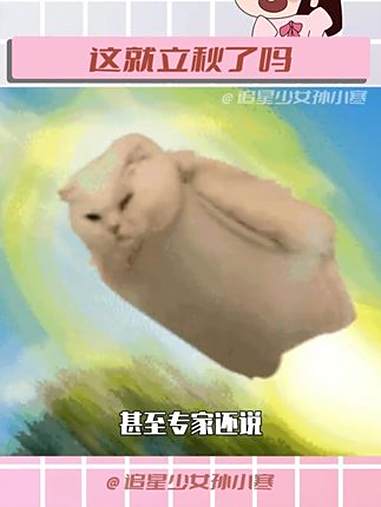 我的好龟龟,虽然外面火焰山,但秋天的第一杯奶茶可不能少!立秋 立秋的第一杯奶茶 闺蜜 秋天
