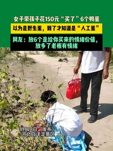 8月28日(发布)河北白洋淀景区,女子带孩子花150元“买了”6个鸭蛋。以为是野生蛋,到了