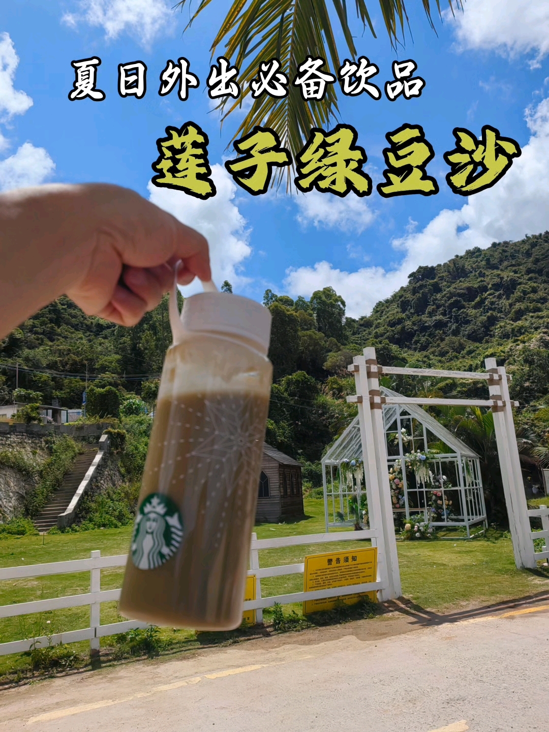 广式糖水“莲子绿豆沙”制作教程