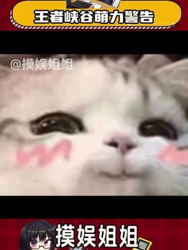 王者荣耀和BDuck小黄鸭联动了,萌到犯规 王者荣耀 小黄鸭 刘禅新皮肤 沈梦溪新皮肤 灵