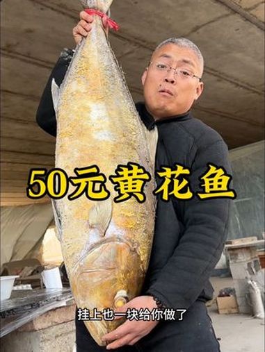 第一次做40斤的黄花鱼 抖音商城 炊哥不加戏 黄花鱼 农村美食 好大一条鱼