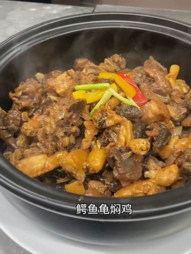鳄鱼龟焖清远鸡 美食制作分享 鳄鱼龟 寻味烟火气