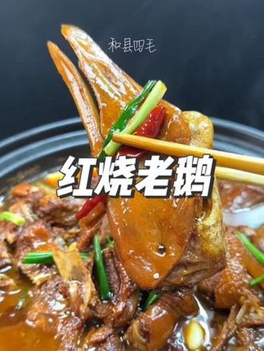 红烧老鹅的正确做法 乡村味道 简单家常 美味可口