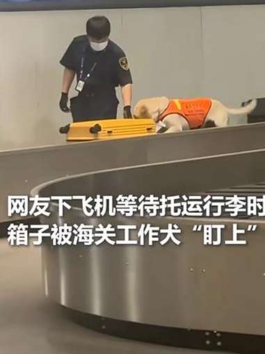 超划算超便宜的红烧牛肉面 好物推荐  红烧牛肉面