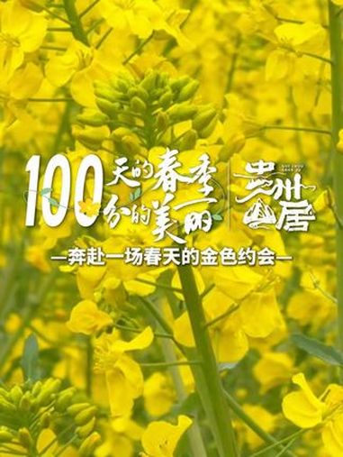 贵州山居 一百天的春季,一百分的美丽!油菜花开,春光正好。奔赴一场春天的金色约会(来源:新