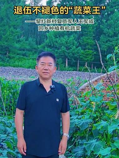 黎红新村复员军人王君成,回乡种植有机蔬菜大棚 三农 农村 优质农产品 绿色蔬菜 抖音助农