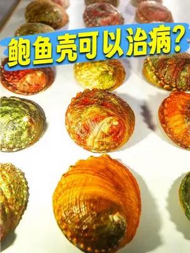 鲍鱼壳可以治病