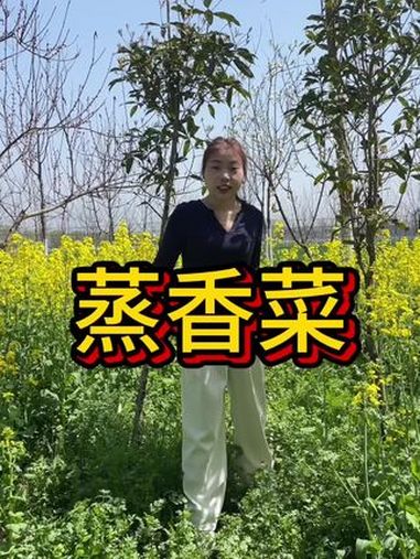 家里香菜吃不完的可以试试蒸着吃,真的挺好吃的 创作灵感 春天的味道 内容启发搜索 香菜的神