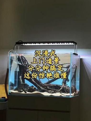同城小缸造景，上门入缸，即刻成景，期待入鱼后的效果。#鱼缸 #鱼缸造景 #司马光玩缸