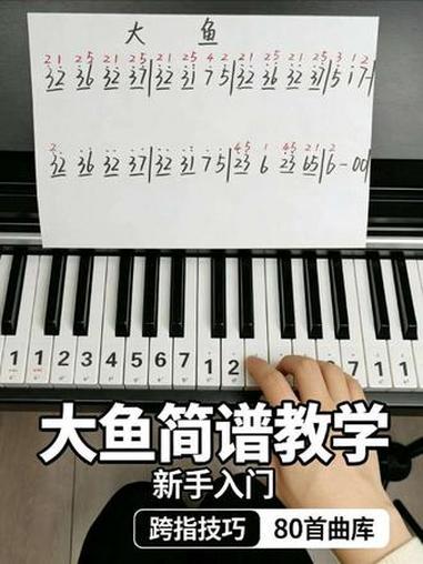 《大鱼》简谱教学零基础速成 #0基础学钢琴 #零基础自学钢琴 #自学钢琴打卡 #成年人零基