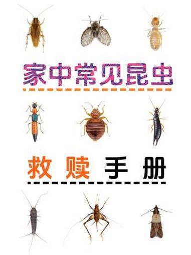 家中常见「昆虫科普」：9种不速之客，要小心谁 ♂后台每天都有网友问虫，整理今年最常见的9类