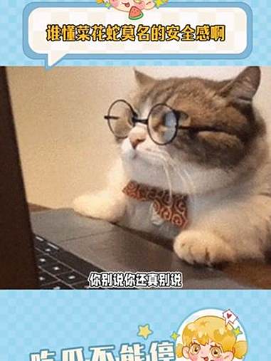 谁懂菜花蛇莫名的安全感啊 菜花蛇 万万没想到 娱乐评论大赏