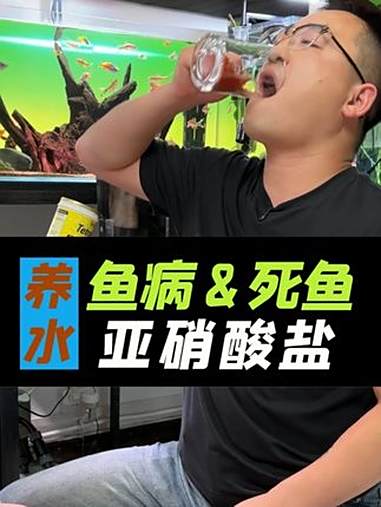 新开的鱼缸,鱼总生病、死鱼,是怎么回事?科学养鱼养水 亚硝酸盐 对鱼有什么危害?新手养鱼 