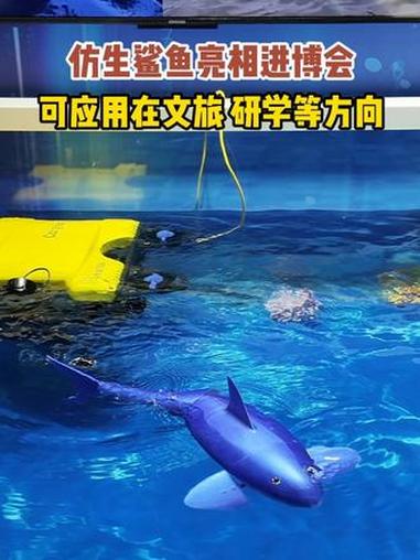 探展进博会｜又萌又酷，仿生鲨鱼亮相进博