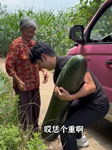 45斤的大冬瓜才卖5块钱，散养的土鸭子更是卖不出去，你们能理解这种心情吗？#关爱老人 #记