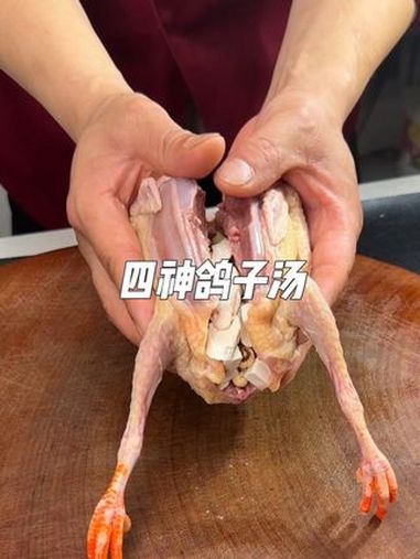 四神鸽子汤 煲汤 强烈推荐 煲汤教程 四神汤 四神汤养脾胃