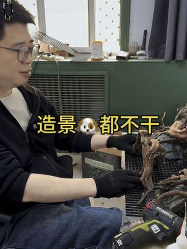 造景都不干 鱼缸 沉木造景 意想不到的结局