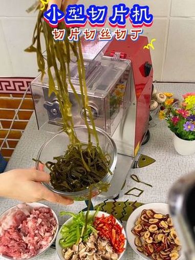 切肉片机 鲜肉切片机 切片机 肉类加工设备 切肉机