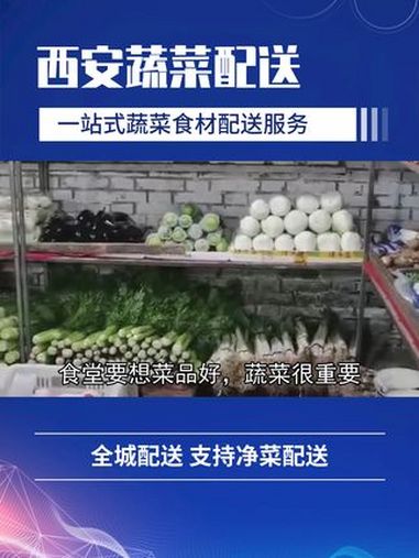 我们精选优质蔬菜,种类丰富,满足各类食堂需求,让餐桌色彩缤纷。陕西西安食堂蔬菜配送公司排名