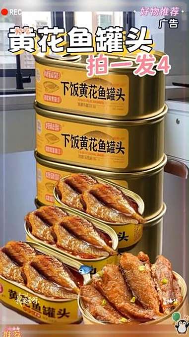 黄花鱼罐头 鱼罐头 这也太好吃了