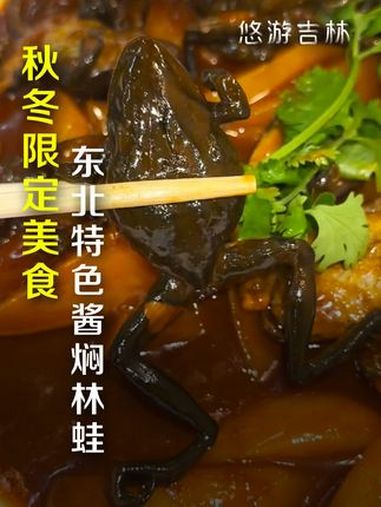 秋冬限定—东北特色酱焖林蛙,看着吓人~实则吃着好吃~营养丰富!艾特你敢吃的朋友!来东北可以
