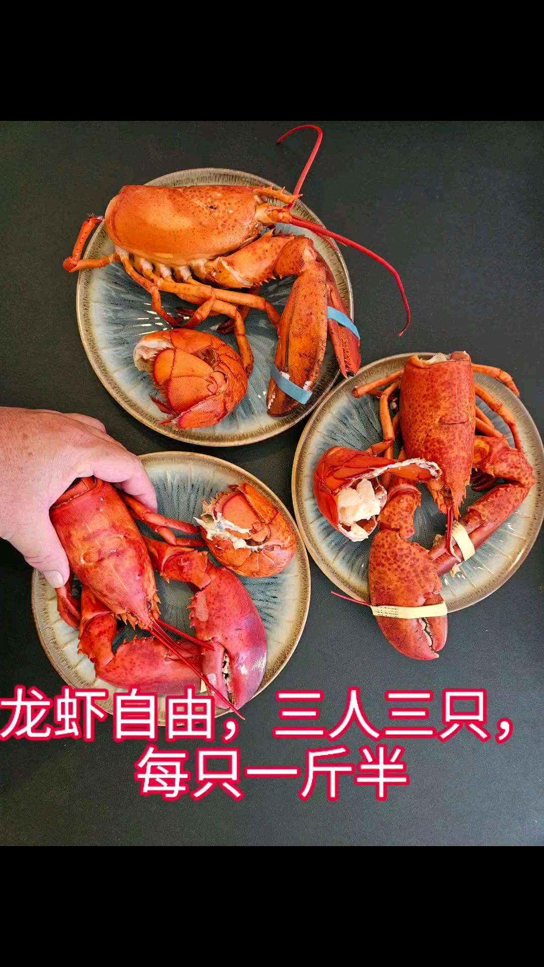 纽约旅行随记20---纽约又到了吃波士顿龙虾的季节