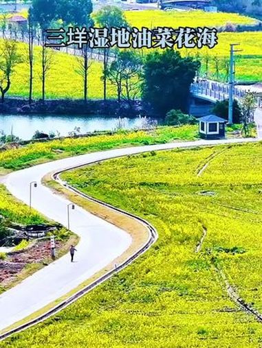 温州三垟湿地公园又有大事!油菜花终于开了!儿童乐园这片还是比较草率,往里小木屋可以打卡 亲