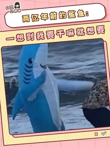 俗话说越离谱的越可能是真的……鲨鱼 化石 西藏