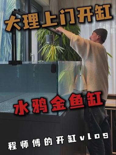 水鸦金鱼缸,大理上门开缸 养鱼日记 金鱼缸 水鸦鱼缸上门安装 鱼缸定制 水鸦鱼缸