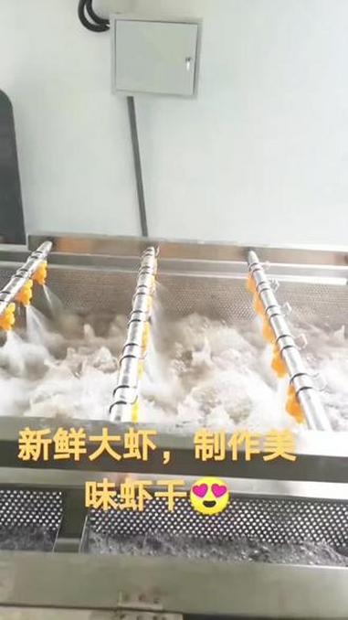 烘干大虾加工流水线 烘干对虾 烘干大虾 罗氏虾烘干加工流水线 大虾蒸煮机