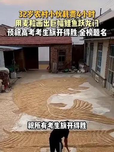 农村小伙花4小时用麦粒画出鲤鱼跃龙门,祝高考考生旗开得胜 金榜题名!2024高考必胜 人生