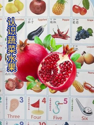 认识蔬菜水果 亲子互动 玩具小故事 水果认识启蒙早教0-6岁 儿童益智早教玩具0-3岁 动