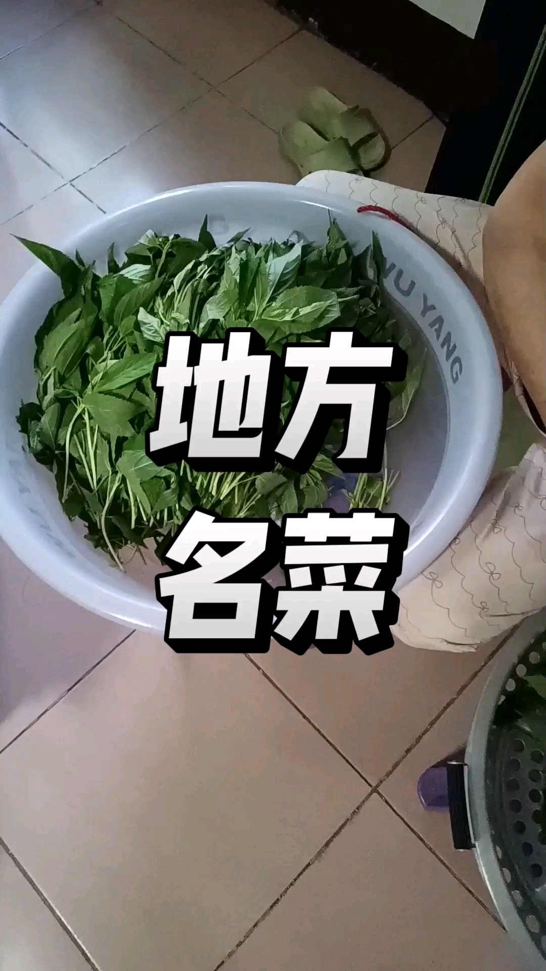 舌尖上的中国所推荐的麻叶