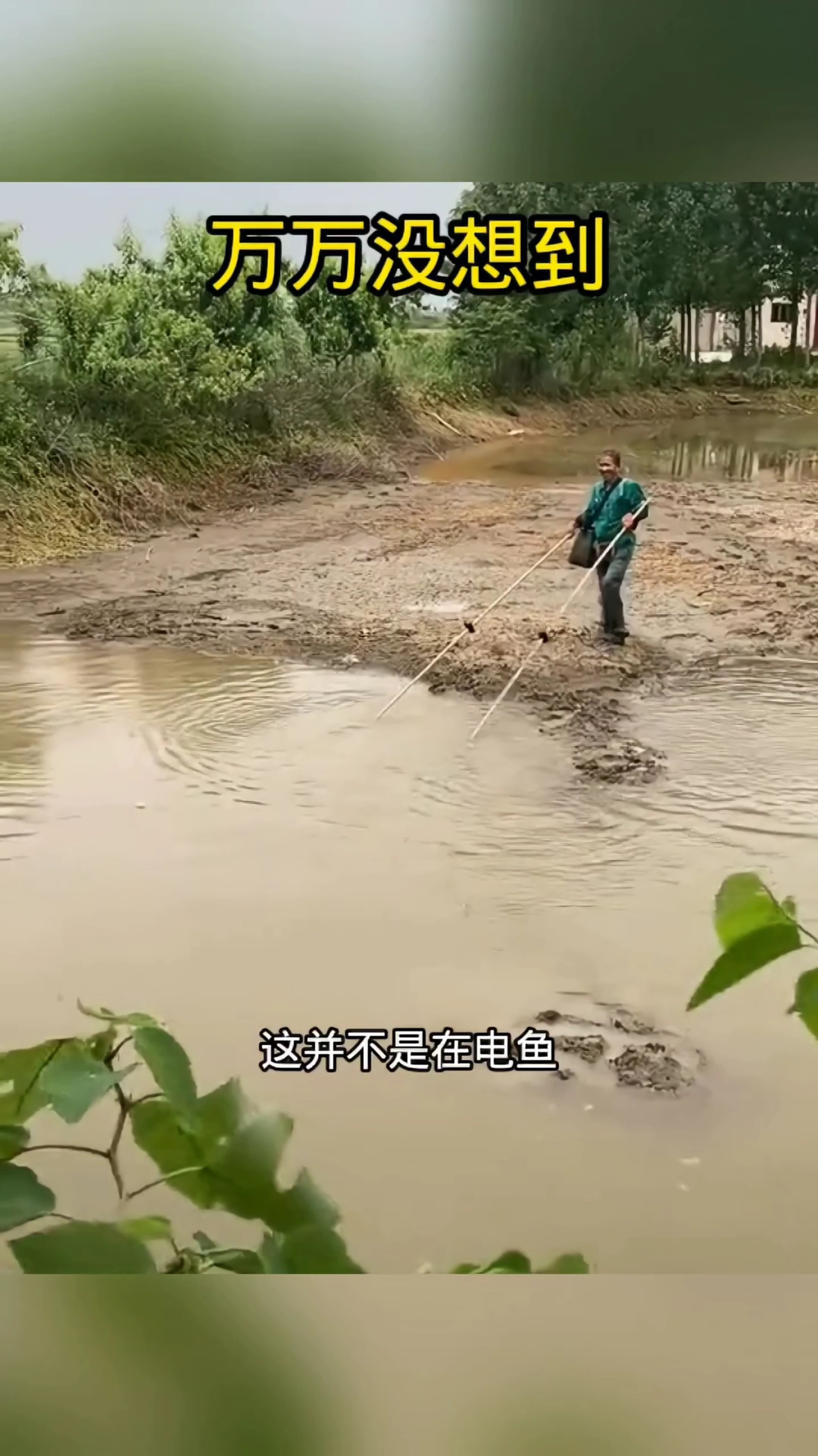 捕鱼神操作,这抄网太好用了