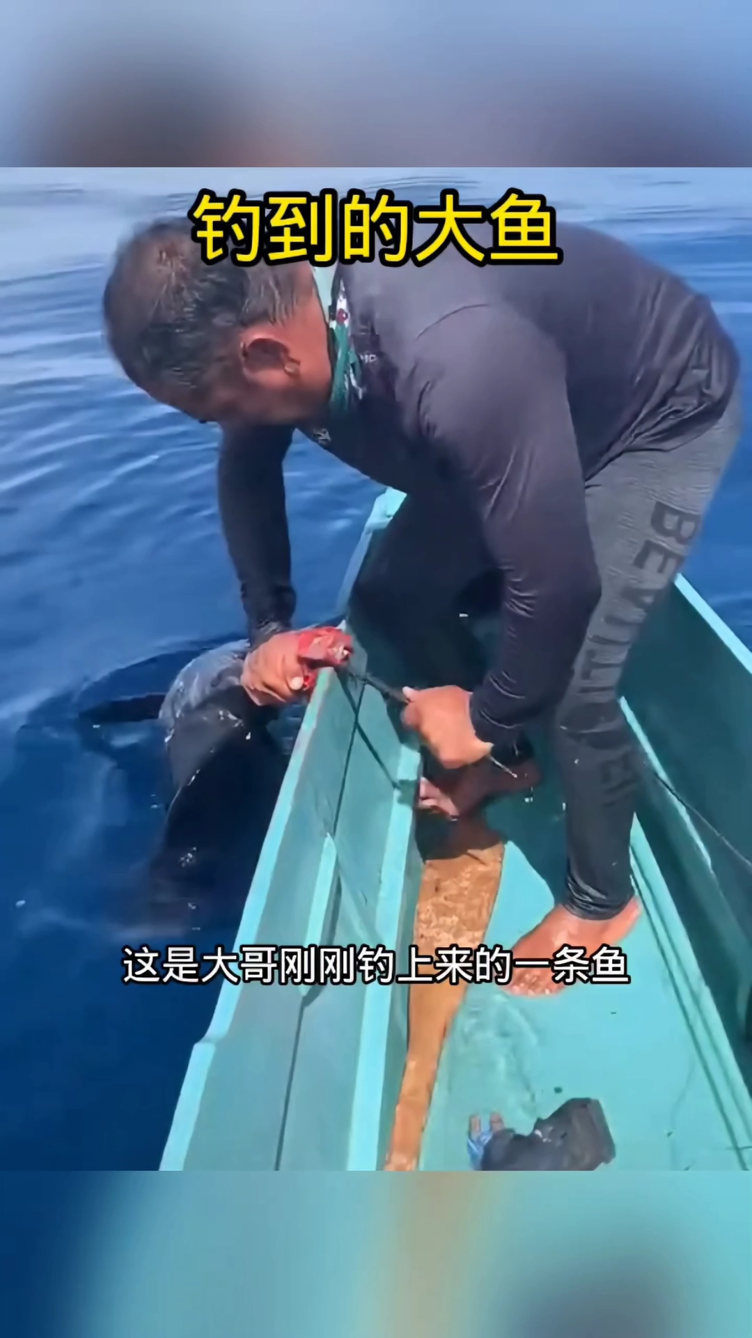 钓到的大鱼,上来先把它武器收缴了