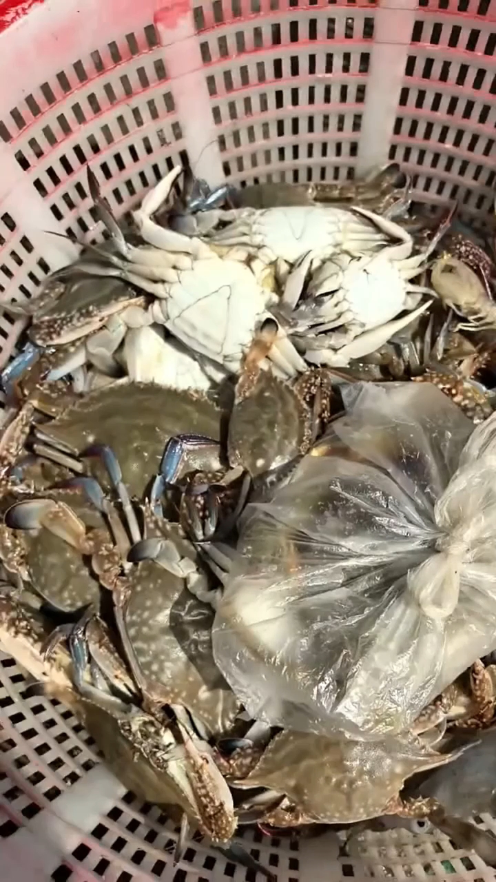 温州洞头,乐清包船捕鱼