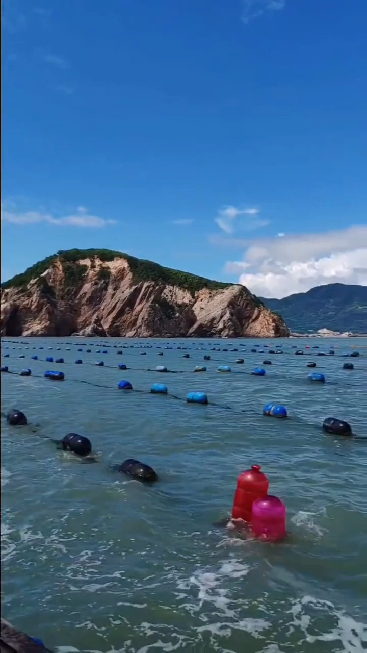 舟山朱家尖出海捕鱼游《水调歌头·舟山捕鱼记》橹声摇碎晓,