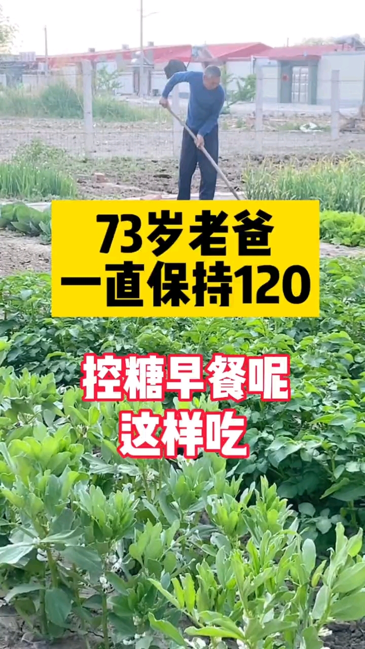 燕麦麸皮热量低饱腹感强营养丰富