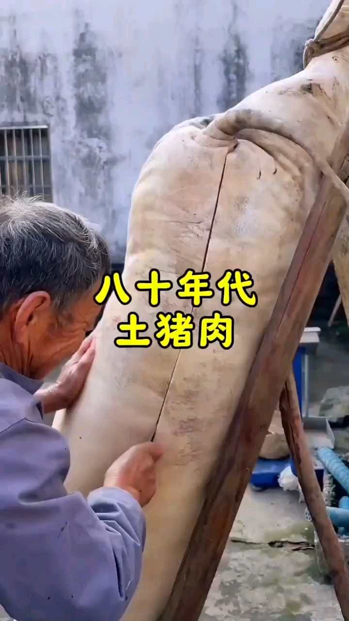 八十年代的土猪肉,你还记得吗?