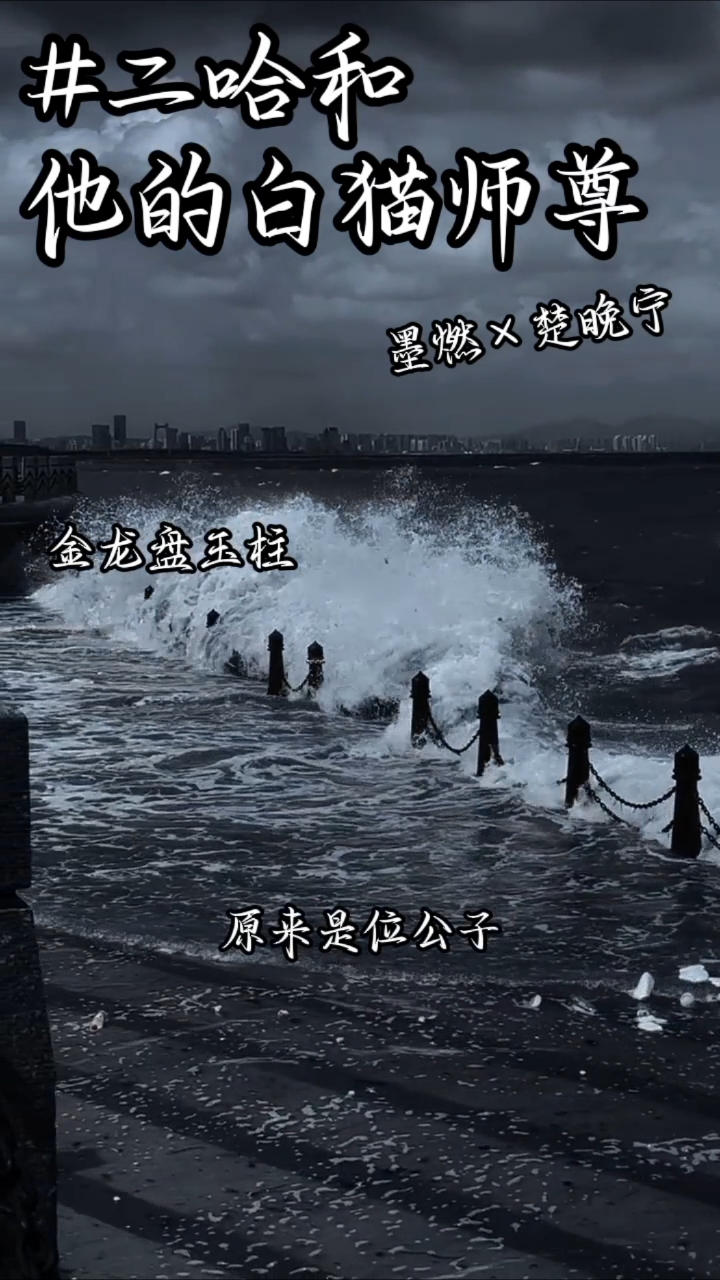 二哈和的白猫师尊