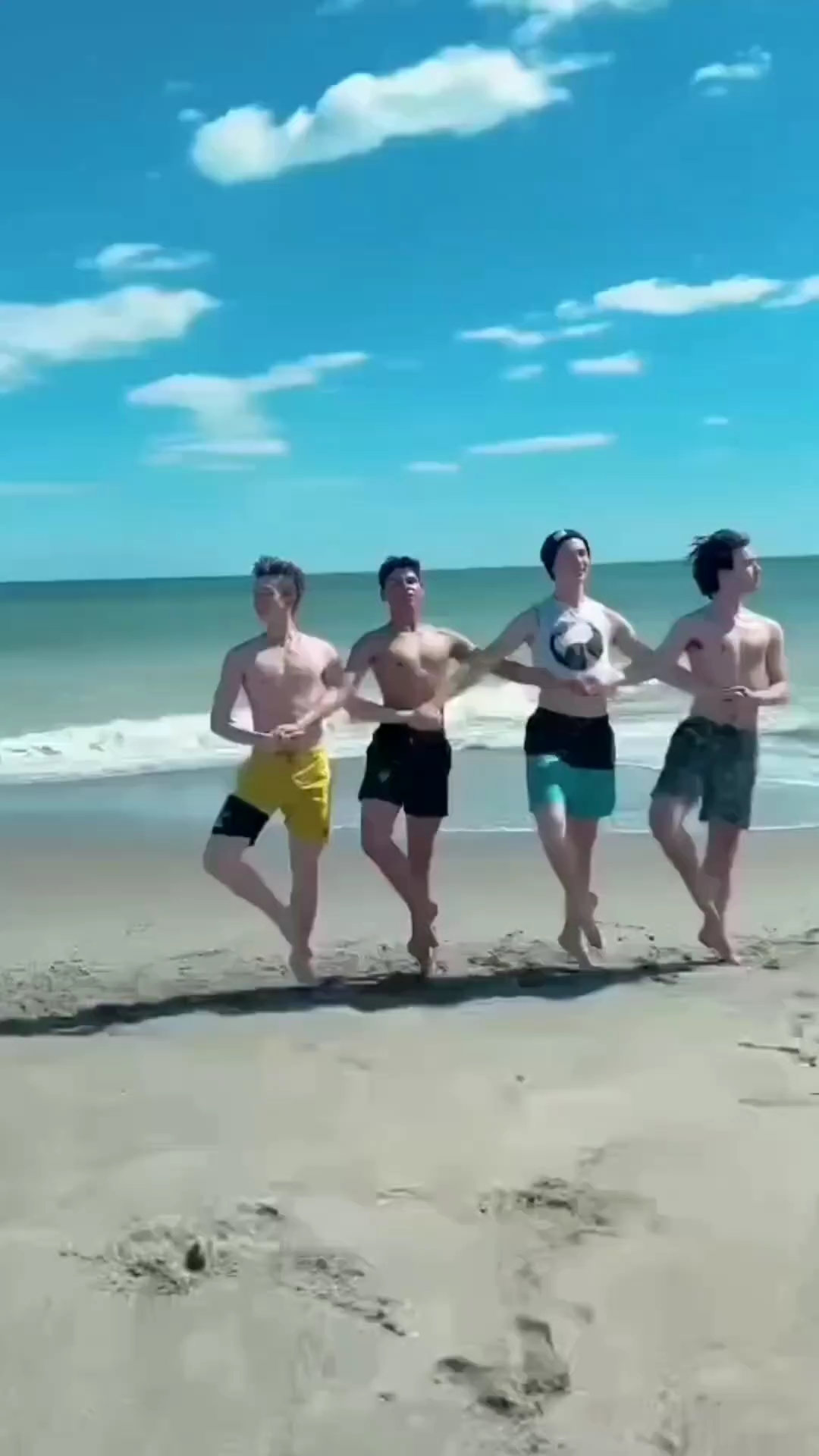 经典芭蕾舞四小天鹅男生版