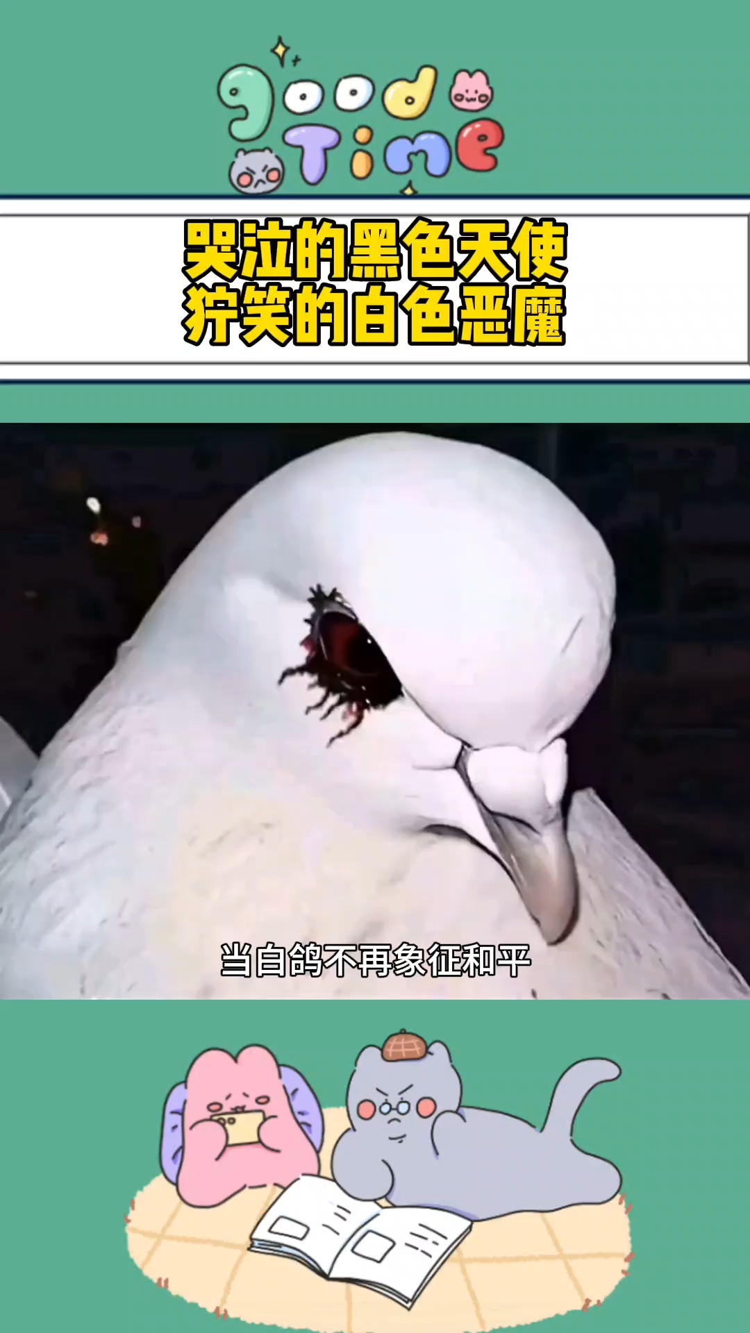 鸽子和乌鸦