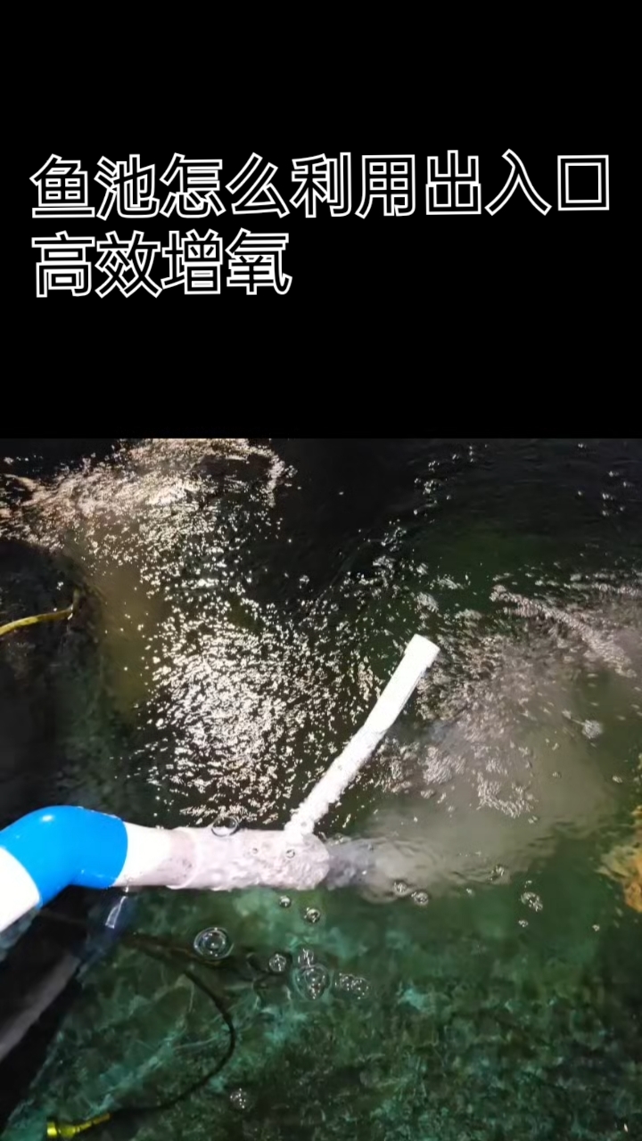 怎么利用鱼池额出水口增氧