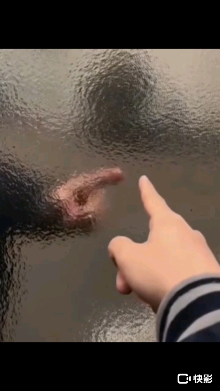 女生头像可爱版。