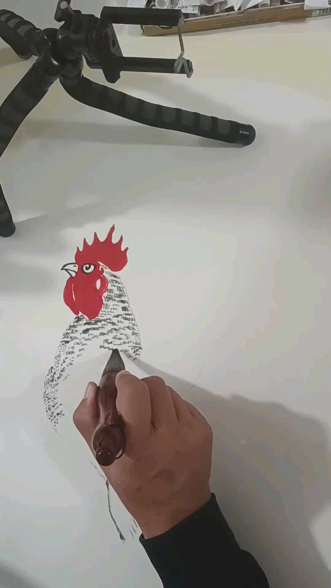 中国味道汶上大芦花鸡