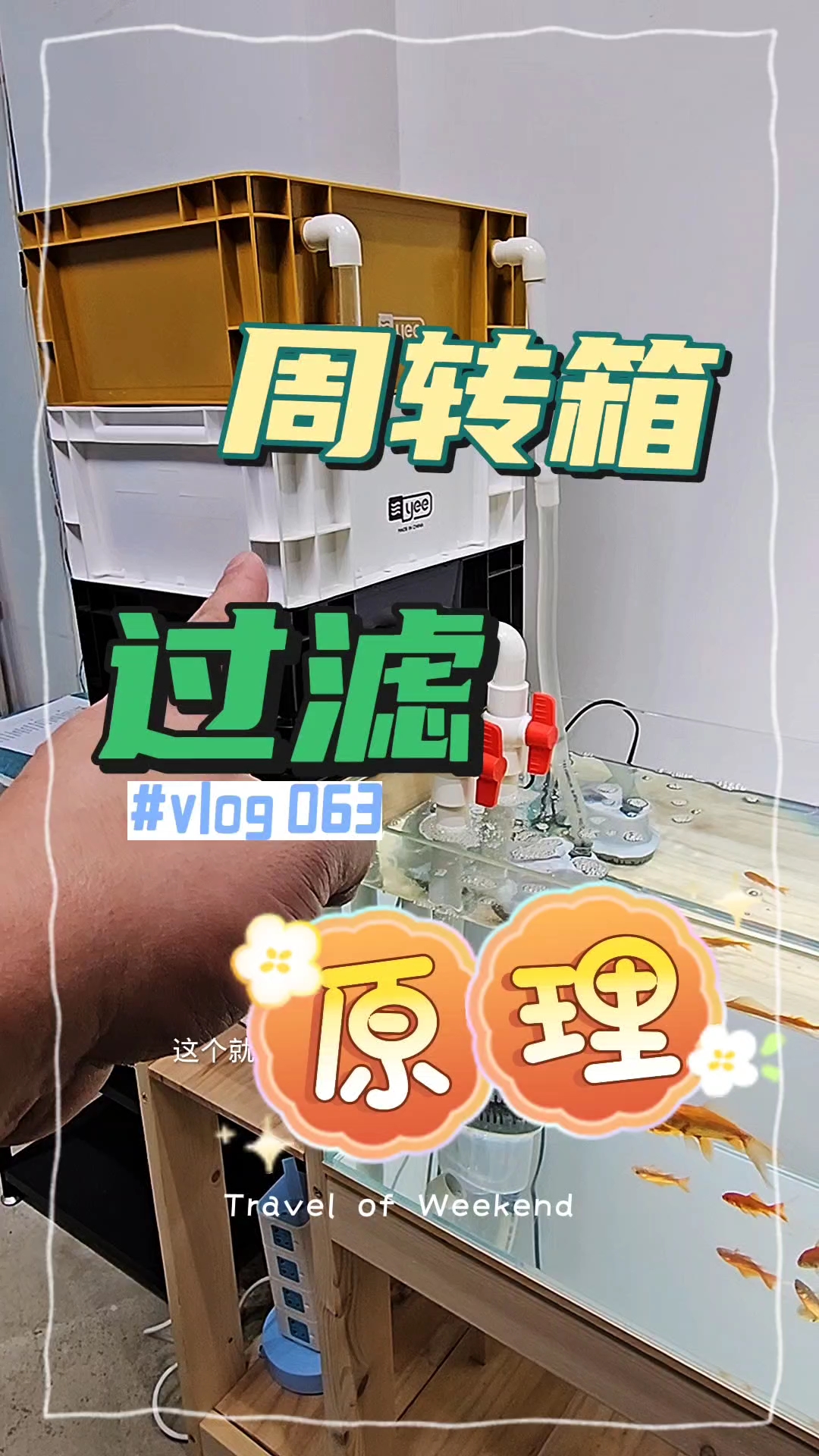 周转箱过滤箱鱼缸鱼池过滤器水循环系统整套