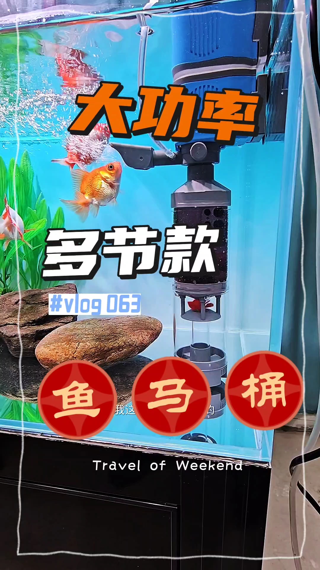 鱼马桶鱼便收集分离器多功能净水鱼缸过滤器系统免换增氧循环泵 