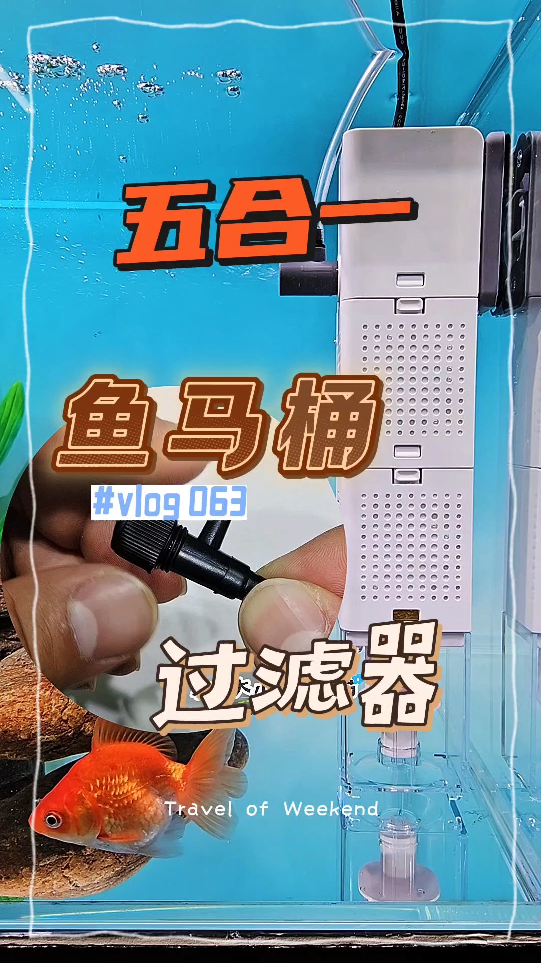 鱼缸过滤器鱼马桶多功能内置净水循环泵免换水过滤桶静音增氧水泵