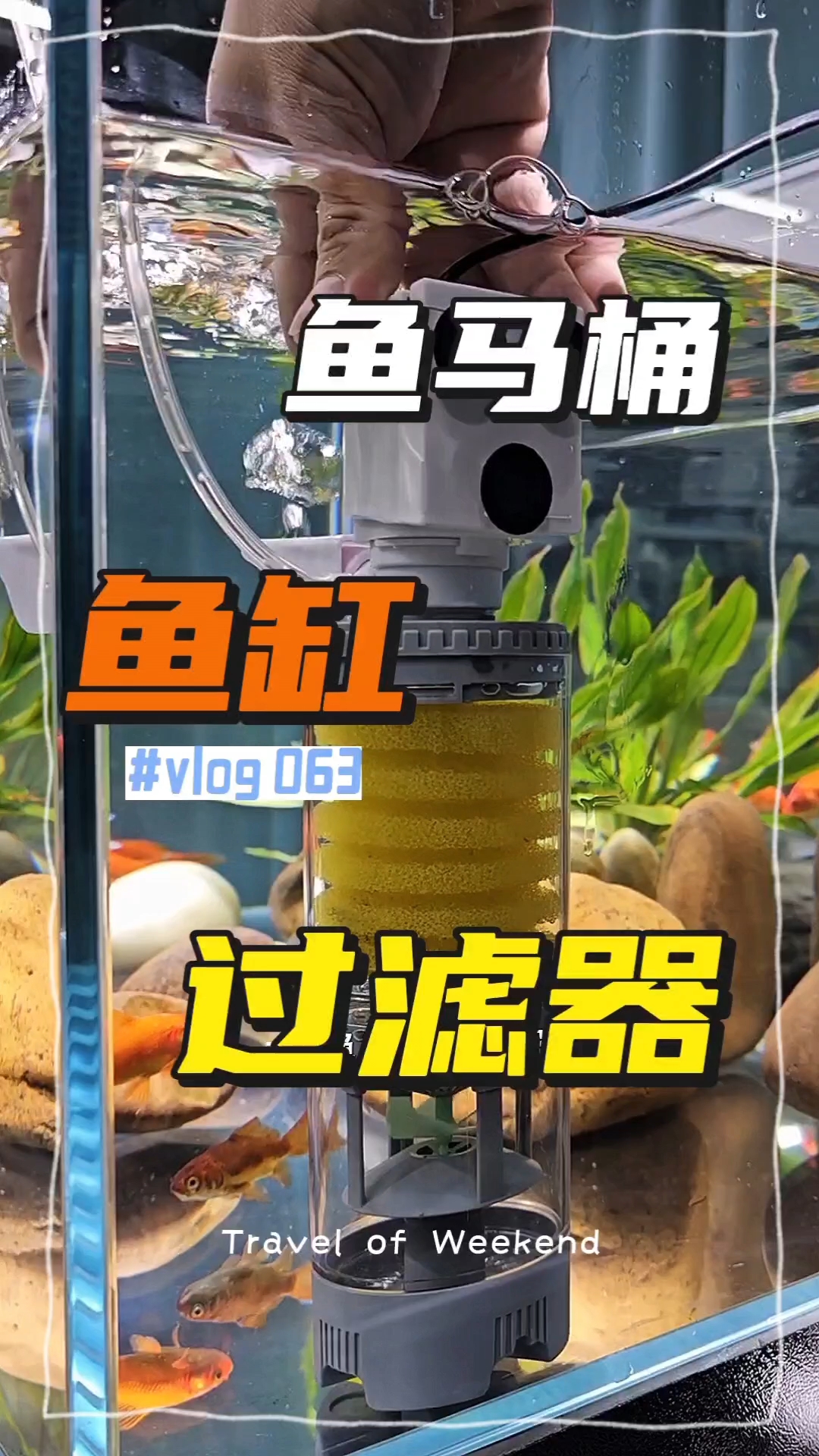 鱼马桶鱼便收集分离器多功能净水鱼缸过滤器系统