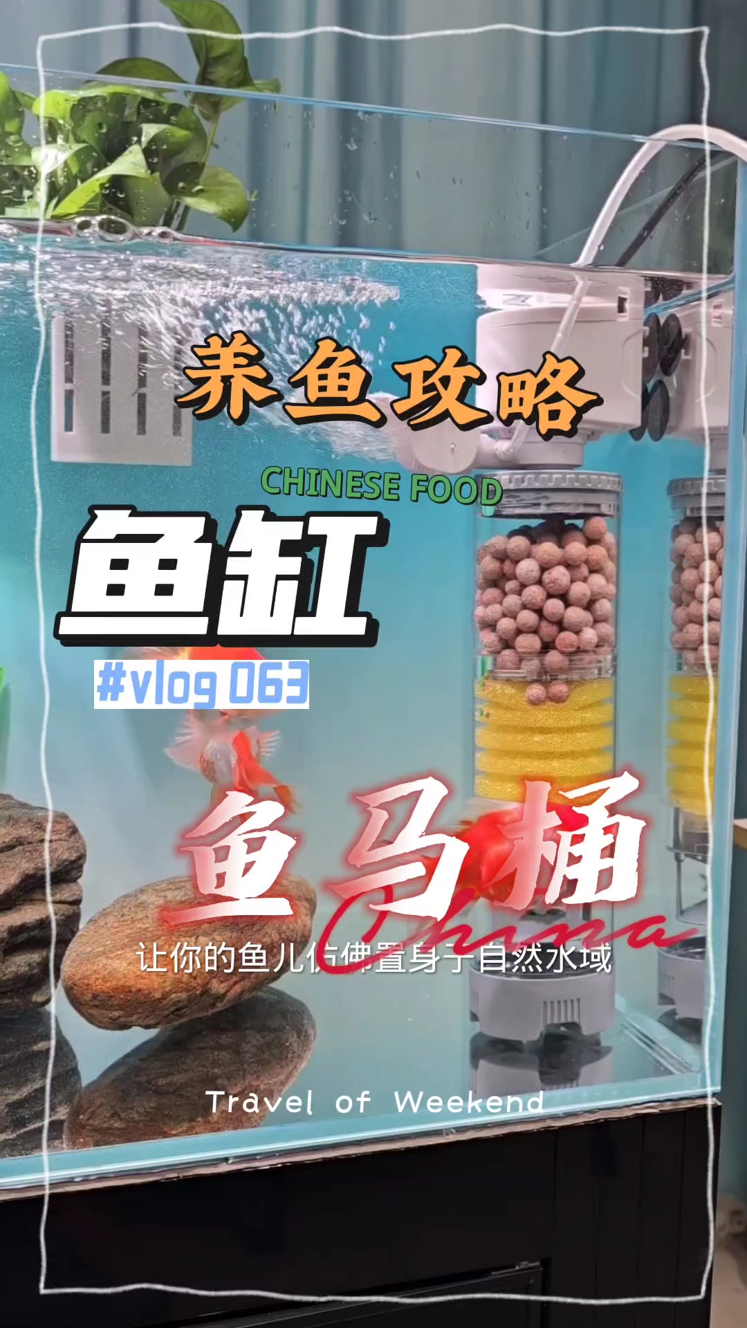  yee鱼缸过滤系统过滤器循环三合一内置小型鱼马桶吸便制氧